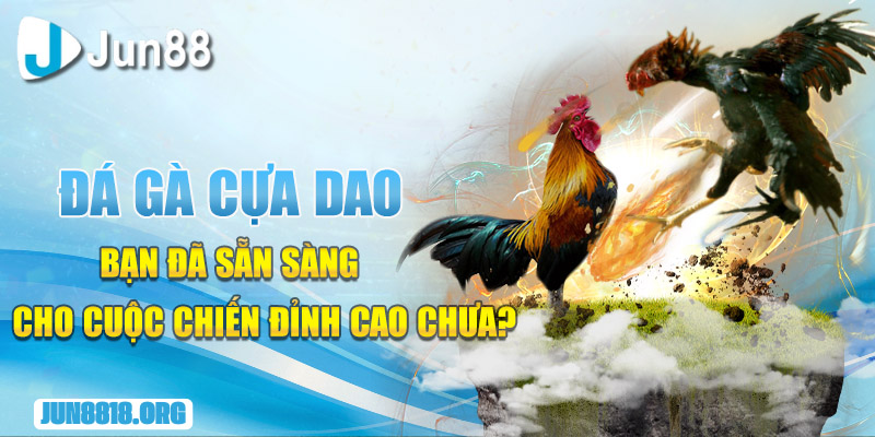 Đá Gà Cựa Dao - Nắm Ngay Bí Kíp Cực Đỉnh Nhận Liền Thưởng Lớn 1 da ga cua dao ban da san sang cho cuoc chien dinh cao chua
