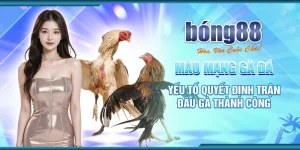 Màu Mạng Gà Đá: Yếu Tố Quyết Định Trận Đấu Gà Thành Công 7 85 mau mang ga da yeu to quyet dinh tran dau ga thanh cong