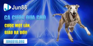 Cá Cược Đua Chó Cược Một Lần, Giàu Ba Đời 5 ca cuoc dua cho – cuoc mot lan giau ba doi