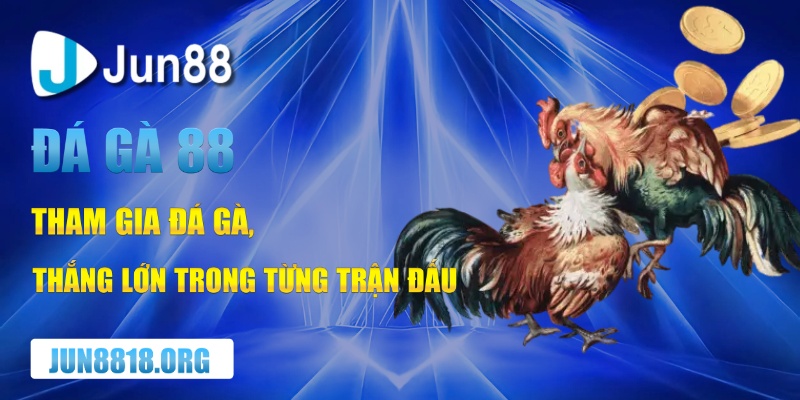 Đá Gà 88 Là Sân Chơi Đẳng Cấp Cho Những Tay Chơi Sành Sỏi 1 da ga 88 dat cuoc ngay de nhan chien thang de dang