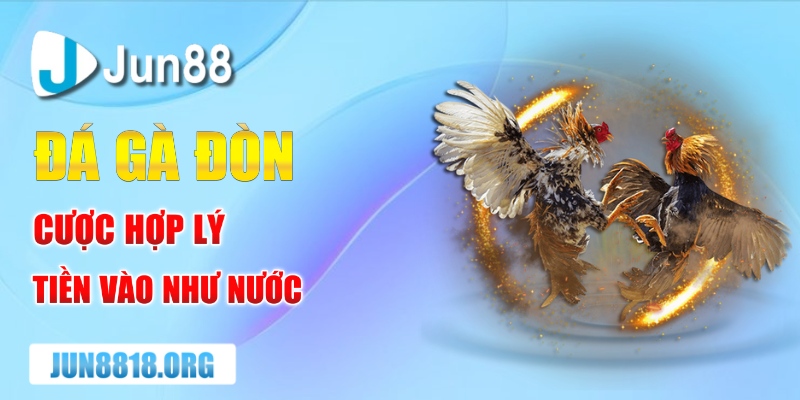 Đá Gà Đòn Và Bí Quyết Cho Anh Em Tuyệt Chiêu Thắng Đậm 1 da ga don cuoc hop ly tien vao nhu nuoc